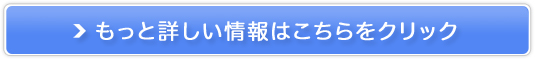 }[NCCT[̔TCg